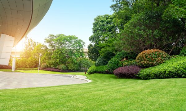 Cost of Commercial Lawn Mowing in Loganville