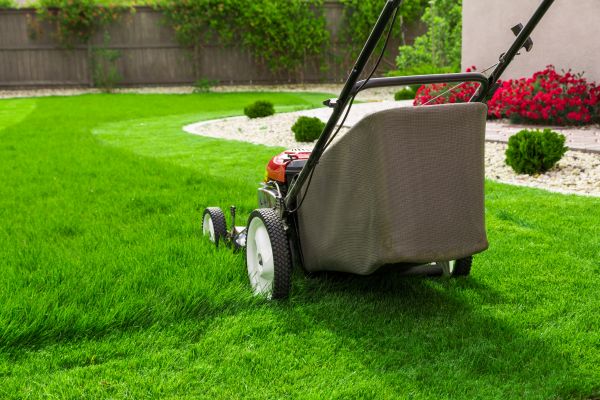 Home Yard Maintenance in Loganville