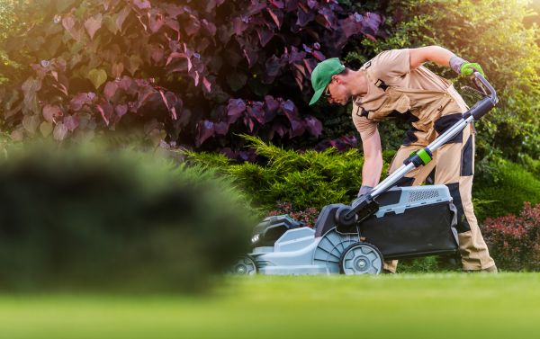 Lawn Care And Maintenance in Loganville