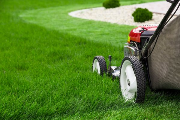 Mowing Service in Loganville