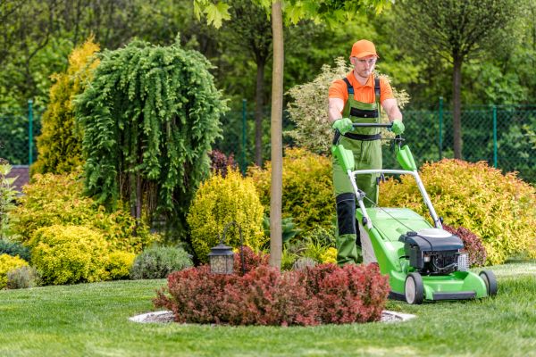 Yard Service in Loganville