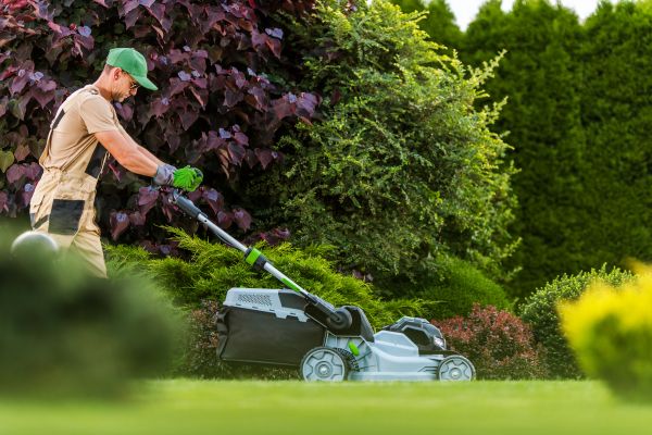 Lawn Management in Loganville