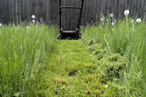 Cost of High Grass Mowing in Loganville