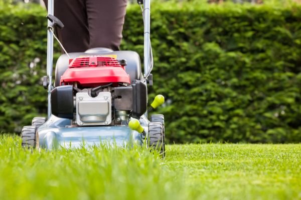 Grass Trimming Service in Loganville