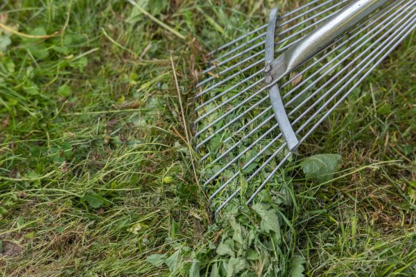 Thatch Raking in Loganville