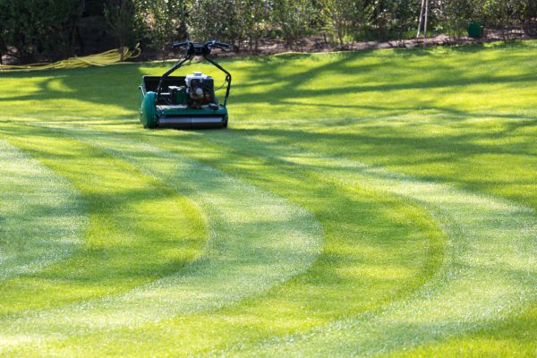 Cost of Business Lawn Mowing in Loganville