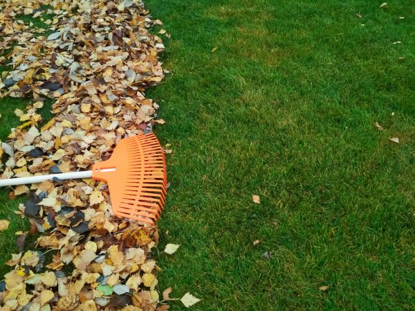 Fall Lawn Care in Loganville