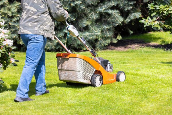 Springtime Lawn Care in Loganville
