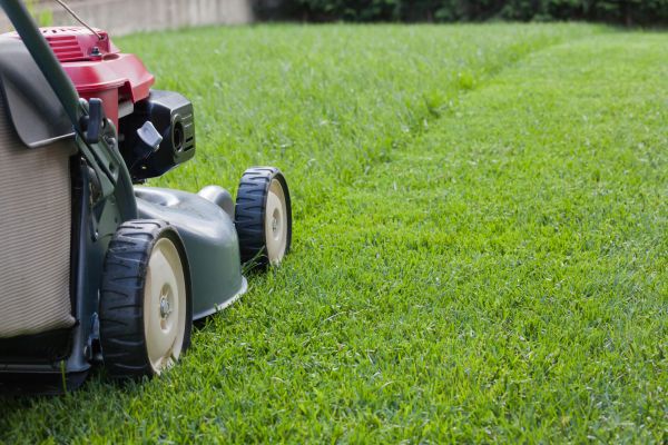 Spring Lawn Maintenance in Loganville
