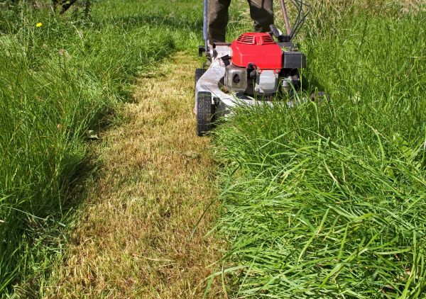 Leaf Mowing in Loganville
