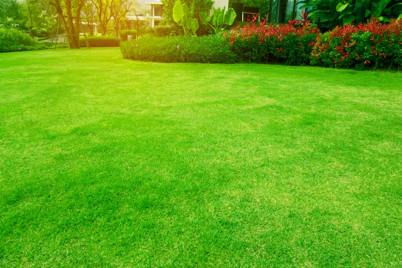 Corporate Lawn Maintenance