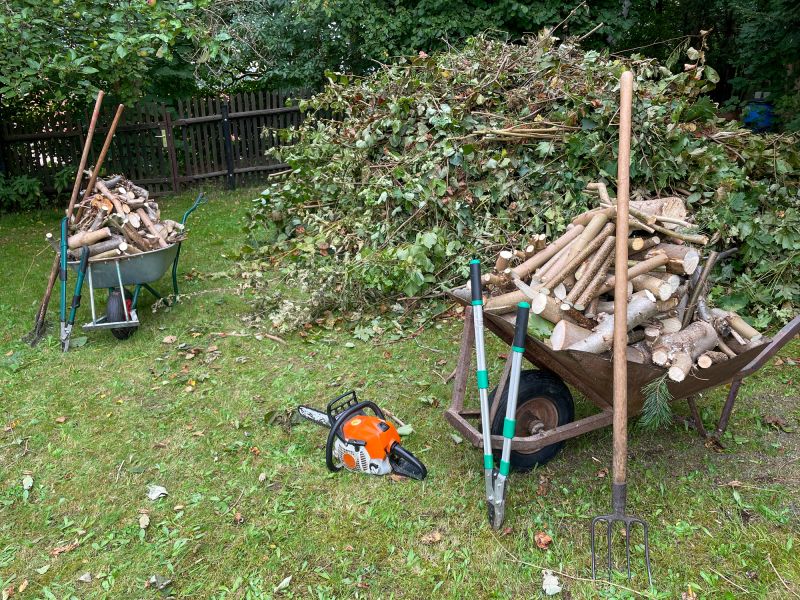 Yard Debris Clearing