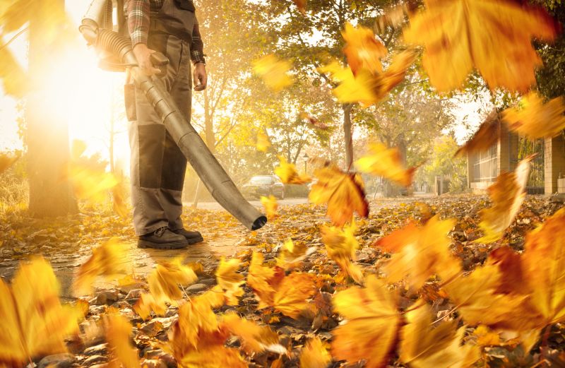 Fall Leaf Cleanup Tools